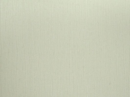 NEW STYLE 新潮流 壁紙  77-21181