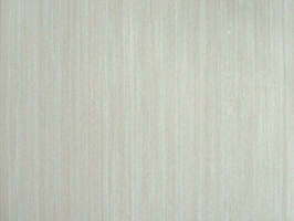 SLIM BODY 司林巴帝 壁紙  30-1157