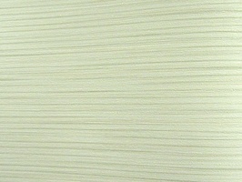 SLIM BODY 司林巴帝 壁紙  44-1167