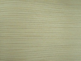 SLIM BODY 司林巴帝 壁紙  47-1169