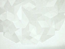 BIWON 特殊壁紙  21-860