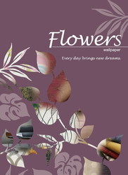 Flowers 精品 壁紙