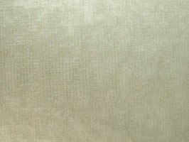 PT fusion 壁紙  1926-031-5
