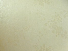 MINGA CLAUDIA 壁紙  63