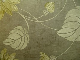 STUDIO 465 BRASILIA.008 壁紙 1-91407