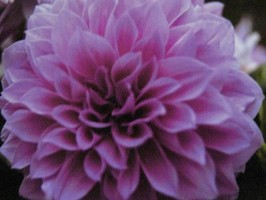 HD Digital Print 風景壁紙  HD087h