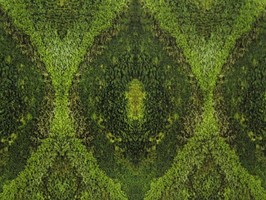 HD Digital Print 風景壁紙  HD101h