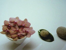 HD Digital Print 風景壁紙  HD113h