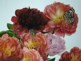 HD Digital Print 風景壁紙  HD117h