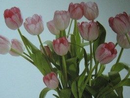 HD Digital Print 風景壁紙  HD118h