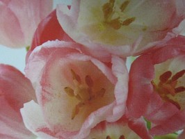 HD Digital Print 風景壁紙  HD128h