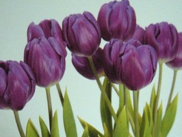HD Digital Print 風景壁紙  HD162h