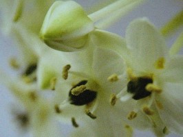 HD Digital Print 風景壁紙  HD283h