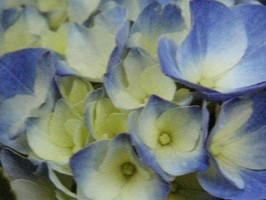 HD Digital Print 風景壁紙  HD286h