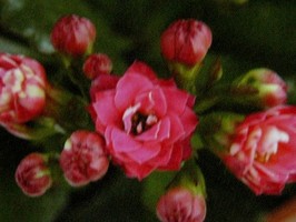 HD Digital Print 風景壁紙  HD293h