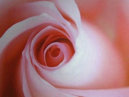 HD Digital Print 風景壁紙  HD362h
