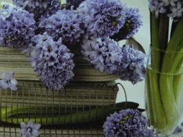 HD Digital Print 風景壁紙  HD383h