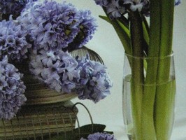HD Digital Print 風景壁紙  HD384s