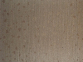 Leyland 禮蘭彩繪壁布  70702