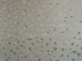 Leyland 禮蘭彩繪壁布  70703