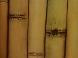 Modern 摩登世界 壁紙 MSD96-6953