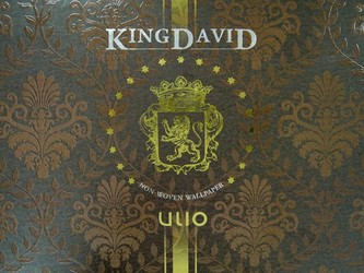 KINGDAVID 壁紙