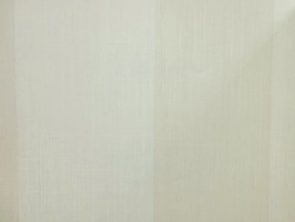 BRAVE 藝術喝采 壁紙  BC61201