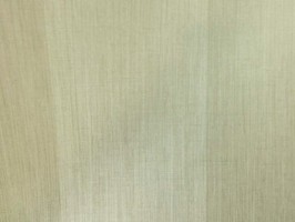 BRAVE 藝術喝采 壁紙  BC61208