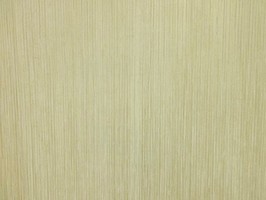 BRAVE 藝術喝采 壁紙  BC61607