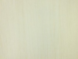 BRAVE 藝術喝采 壁紙  BC61608