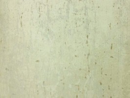 Antoinette 安東尼 壁紙  AN41700