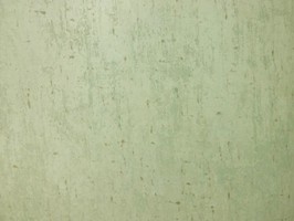 Antoinette 安東尼 壁紙  AN41702