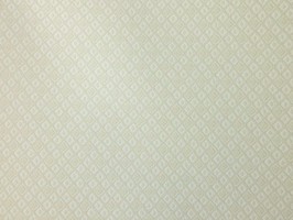 Giorgin 喬治 壁紙 ZA30307