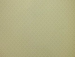 Giorgin 喬治 壁紙 ZA30308