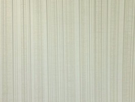 Giorgin 喬治 壁紙  ZA30608