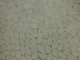 Giorgin 喬治 壁紙  ZA30708