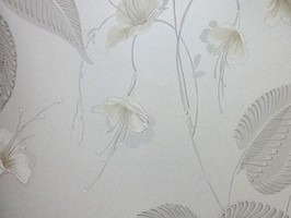 Giorgin 喬治 壁紙  ZA31308