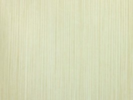 Giorgin 喬治 壁紙  ZA31911