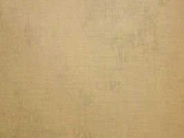 Florentine 佛羅倫斯 壁紙  FL21402