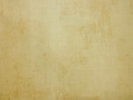 Florentine 佛羅倫斯 壁紙  FL21403