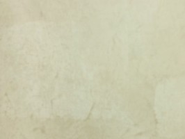 Florentine 佛羅倫斯 壁紙  FL21608