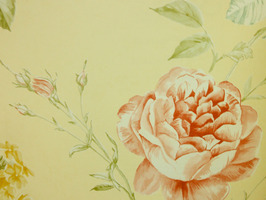 Spring garden 春之園 壁紙  GN80803