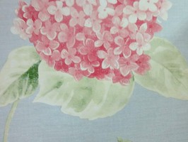 Bella 貝拉 壁紙  BE70802