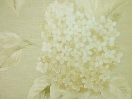 Bella 貝拉 壁紙  BE70807