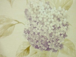Bella 貝拉 壁紙  BE70809