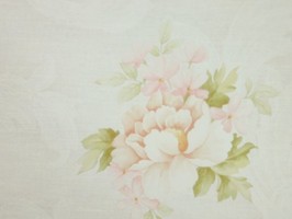 Bella 貝拉 壁紙  BE70911