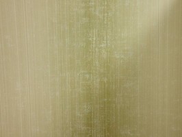 Bella 貝拉 壁紙  BE71301