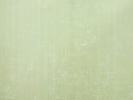 Bella 貝拉 壁紙  BE71307