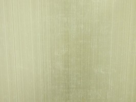 Bella 貝拉 壁紙  BE71308