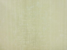 Bella 貝拉 壁紙  BE71311
